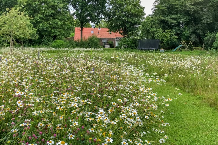 Foto 58 van Rammekensweg 13