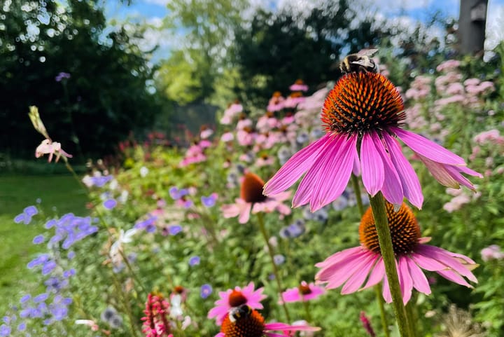 Foto 60 van Rammekensweg 13