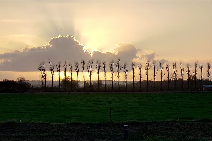 Bekijk foto 66 van Schoolstraat 42