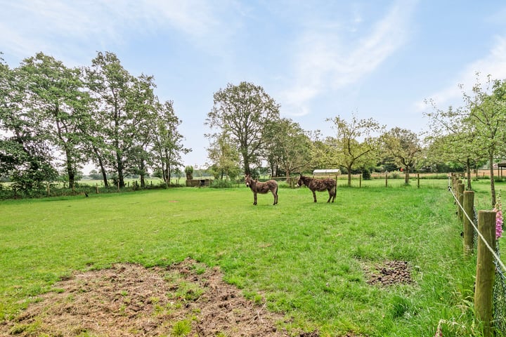 Bekijk foto 34 van Wapserouwenweg 2