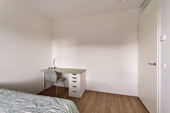 Foto 14 van Ballistaruwe 27