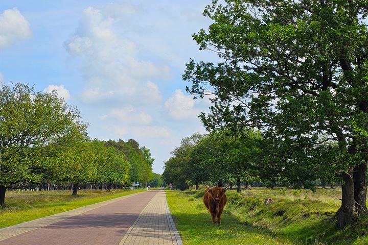 Bekijk foto 36 van Bosbouwkamp 33