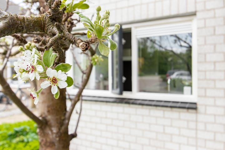 Foto 48 van Groenwal 9