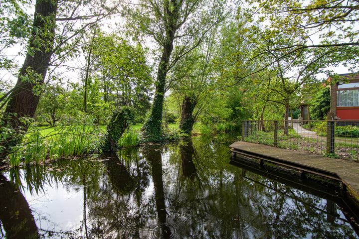 Bekijk foto 95 van Voorwillenseweg 141