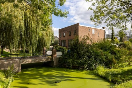 undefined main image