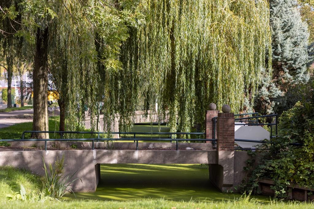 Foto 4 van Kralingseweg 429