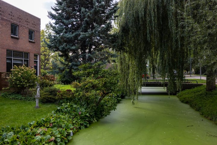 Bekijk foto 5 van Kralingseweg 429