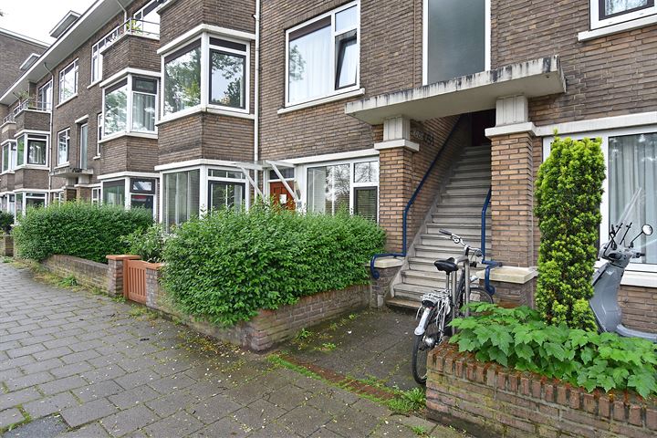 Bekijk foto 41 van Vreeswijkstraat 329