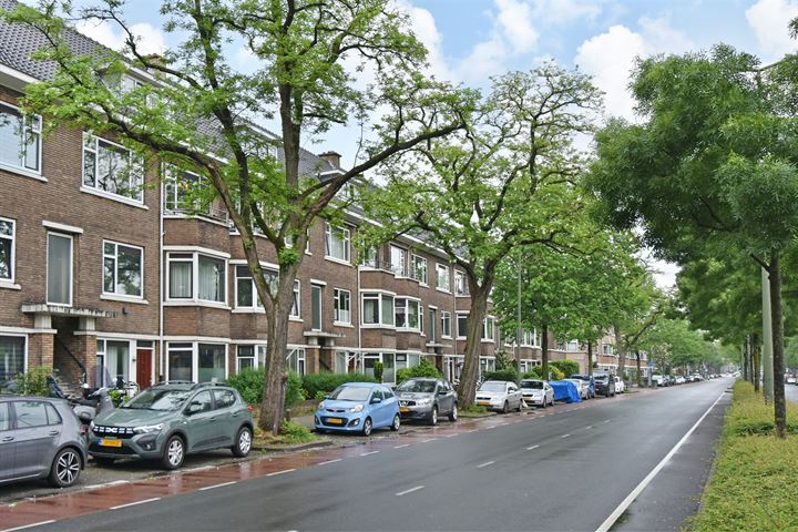 Bekijk foto 43 van Vreeswijkstraat 329