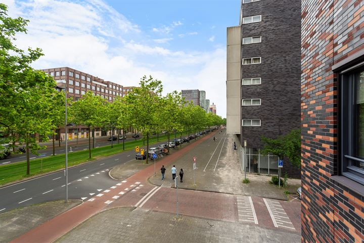 Bekijk foto 10 van Vuurplaat 555