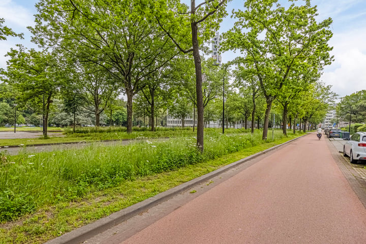 Bekijk foto 43 van Generaal Spoorlaan 119