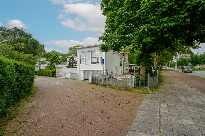 Bekijk foto 69 van Loevesteinlaan 244