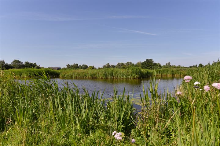 Bekijk foto 39 van Zwanebloem 27