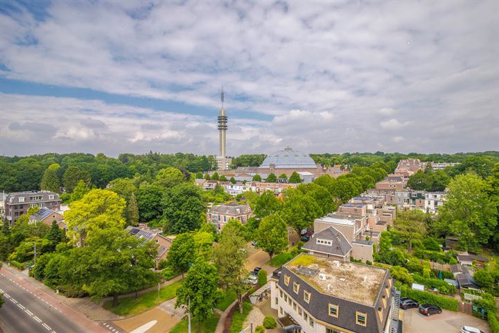 Bekijk foto 28 van Utrechtseweg 145-96