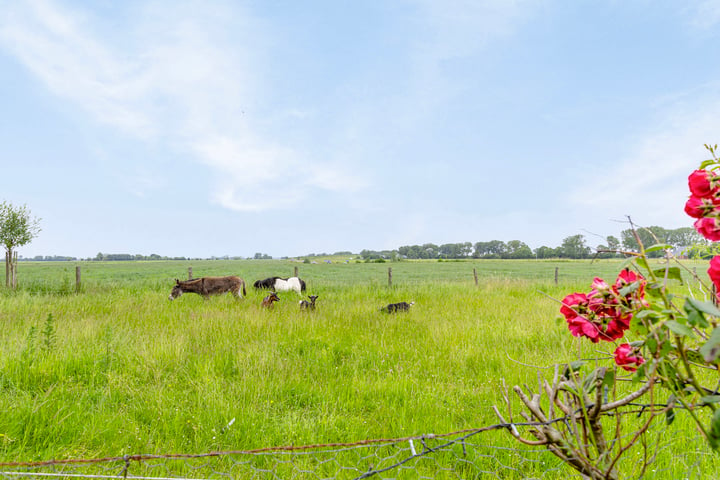 Bekijk foto 4 van Sicke Benninghestede 24