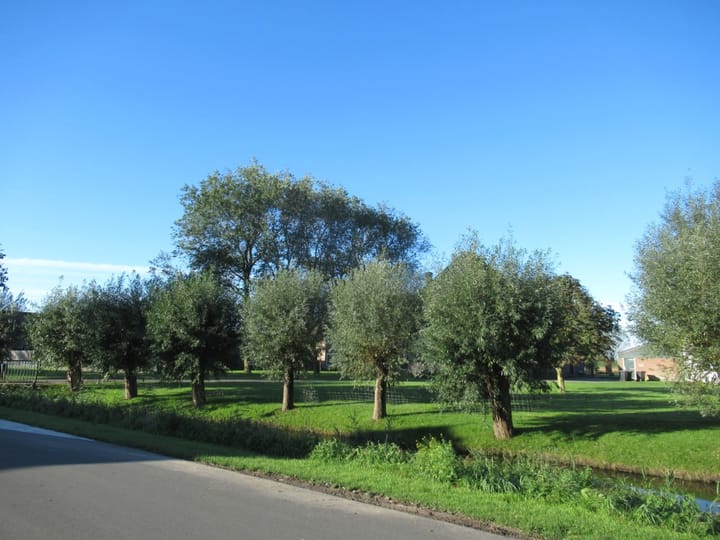 Foto 7 van Noorddijkerweg 11