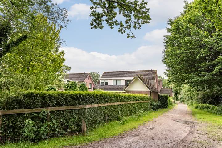 Foto 3 van de Pal 34