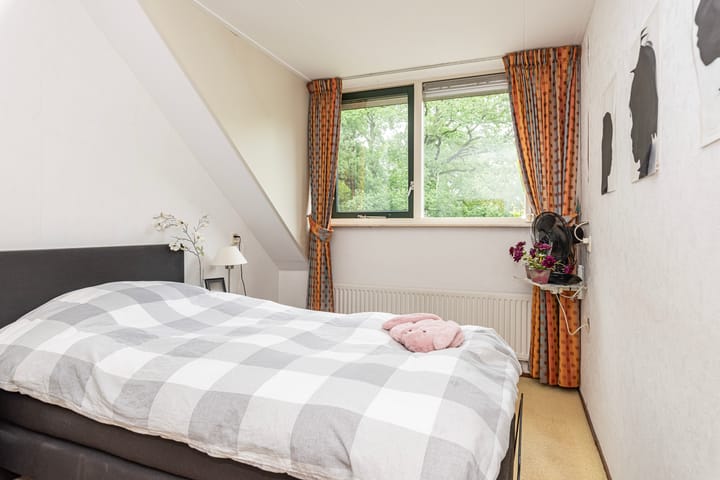 Foto 16 van de Pal 34