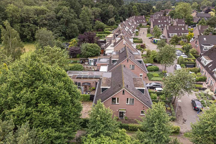 Foto 35 van de Pal 34