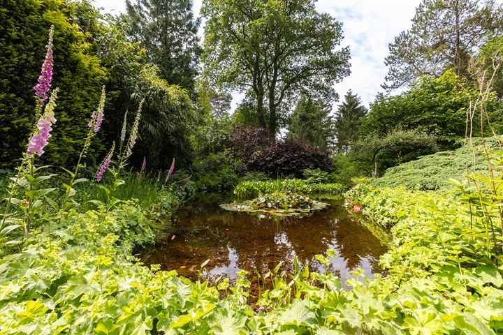 Bekijk foto 44 van Vuursche Dreef 68