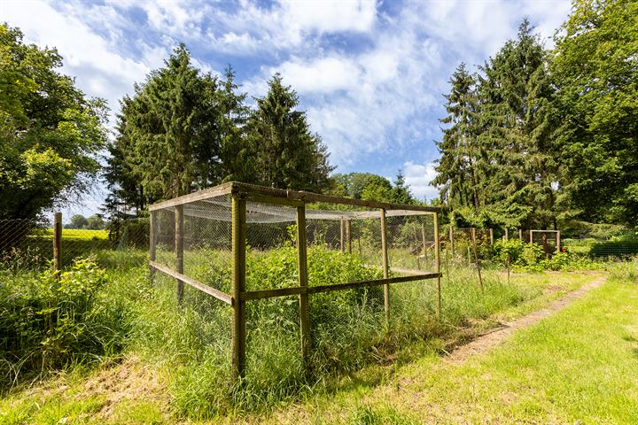 Bekijk foto 46 van Vuursche Dreef 68