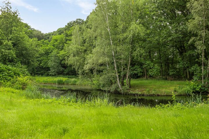 Bekijk foto 60 van Oude Maasje 1