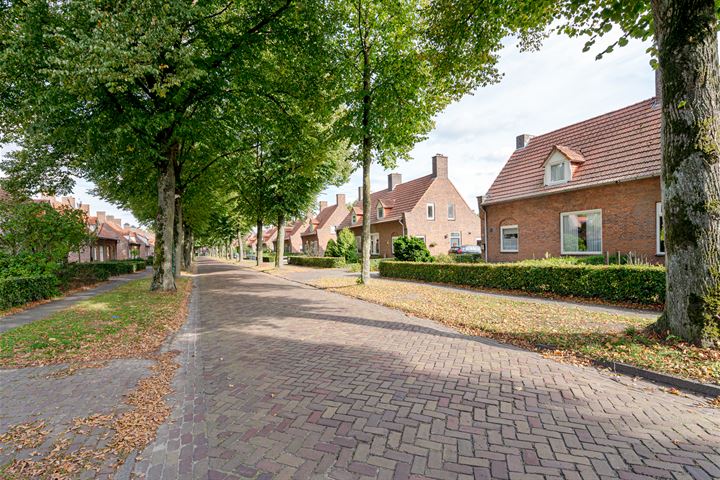 Bekijk foto 4 van Prinses Marijkestraat 44