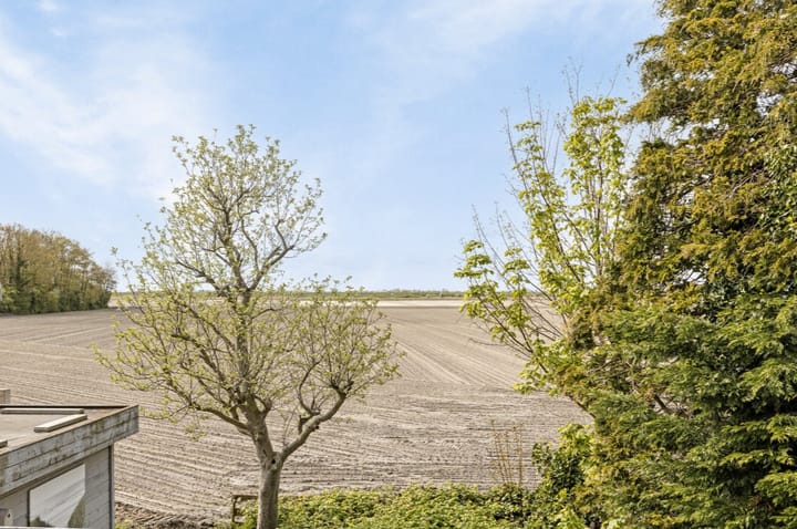 Photo 50 of Zuid Bosweg 11-A