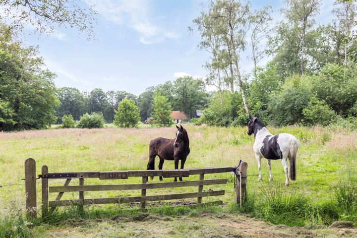 Bekijk foto 55 van Oude Deldensestraat 6