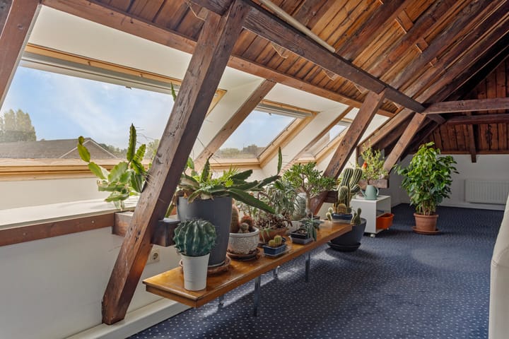 Foto 64 van Nieuwstad 79