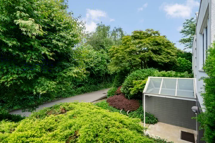 Foto 55 van Onderlangs 34