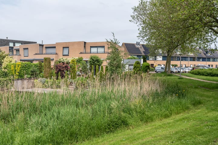 Foto 48 van Calveslo 48