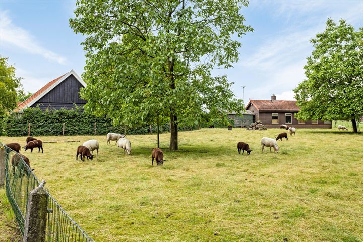 Bekijk foto 23 van Dennendijk 38