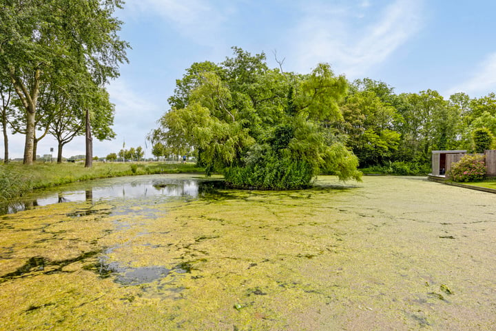 Bekijk foto 36 van Vogelgaarde 35