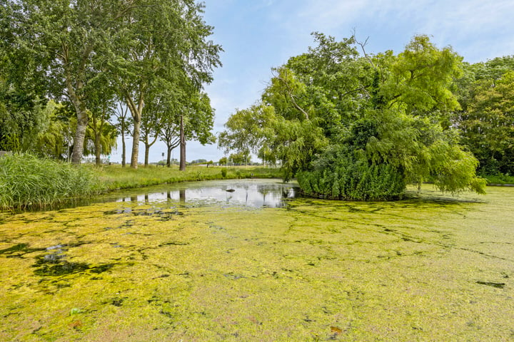 Bekijk foto 37 van Vogelgaarde 35