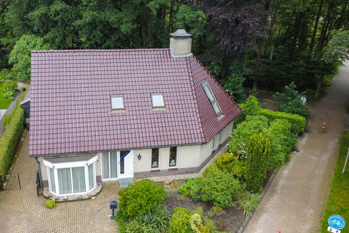 Foto 32 van Dalkruid 8