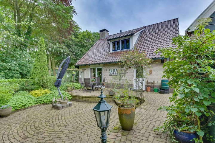 Foto 4 van Dalkruid 8