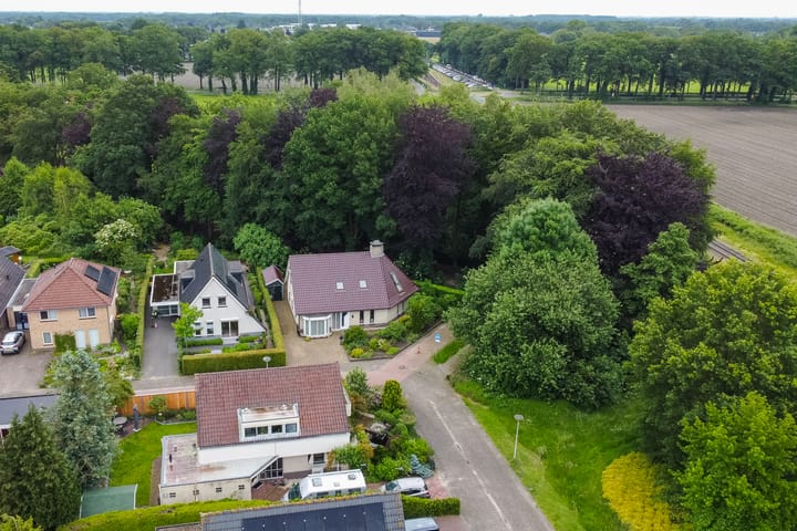 Foto 28 van Dalkruid 8