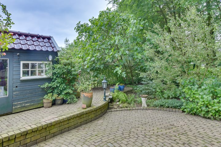 Foto 30 van Dalkruid 8