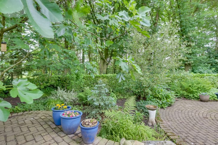 Foto 31 van Dalkruid 8