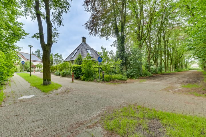 Foto 33 van Dalkruid 8