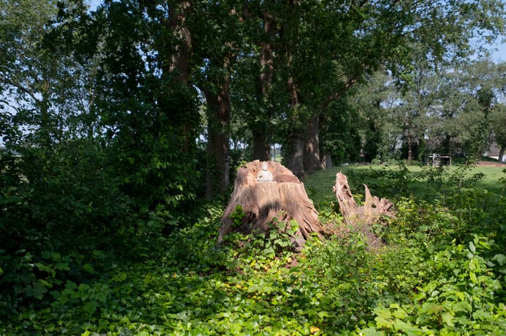 Photo 40 of Suermondsweg 26