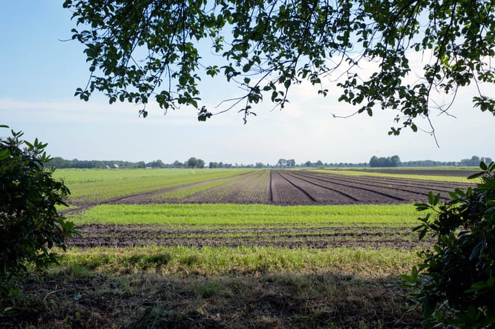 Photo 85 of Suermondsweg 26