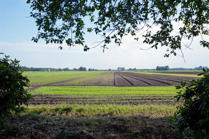 Bekijk foto 85 van Suermondsweg 26