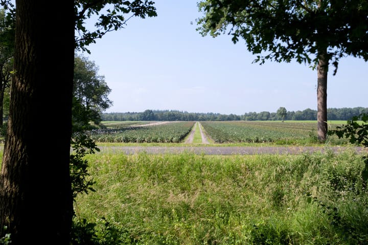 Photo 87 of Suermondsweg 26