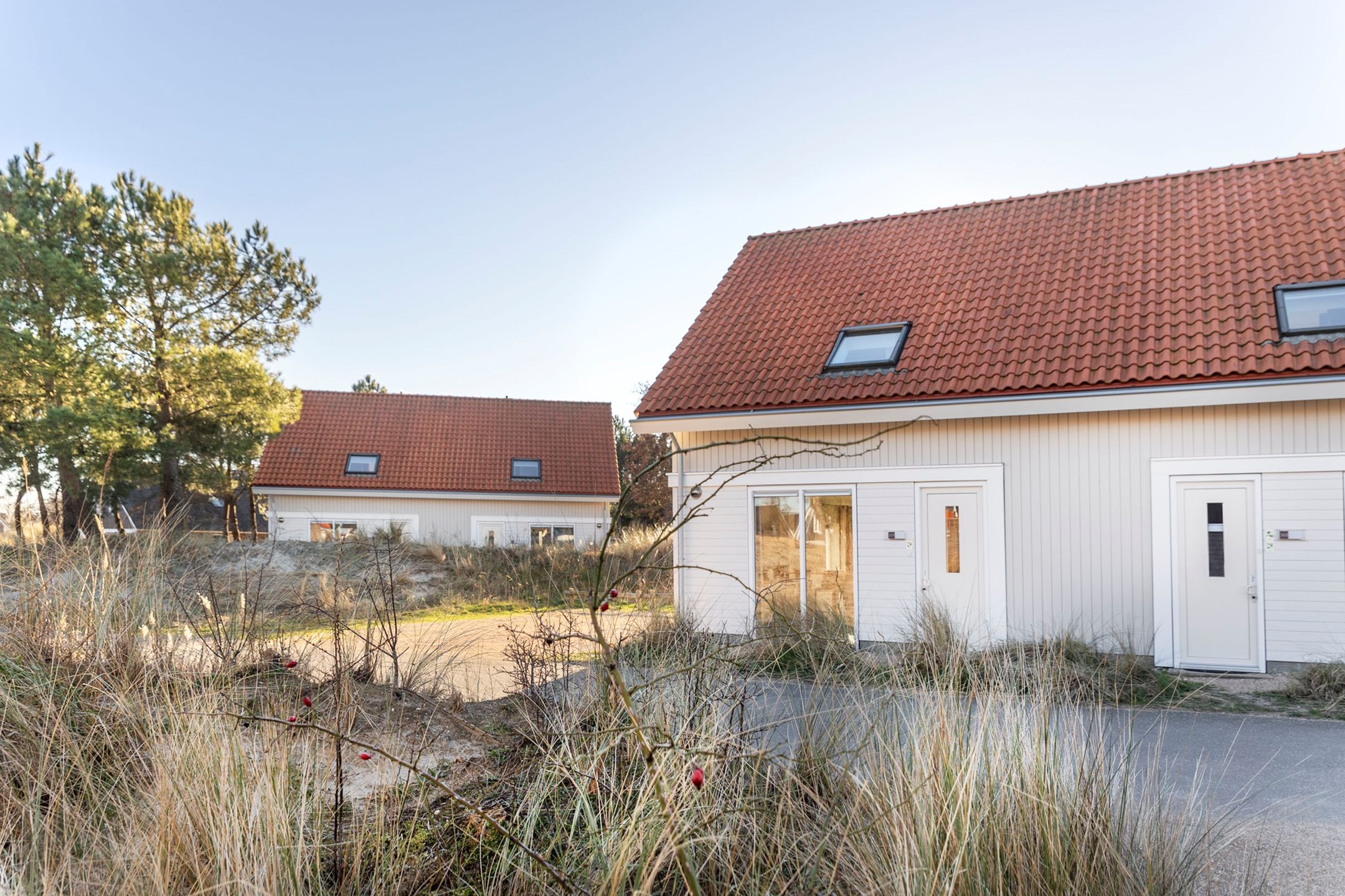 Photo 36 of de Duinen 359