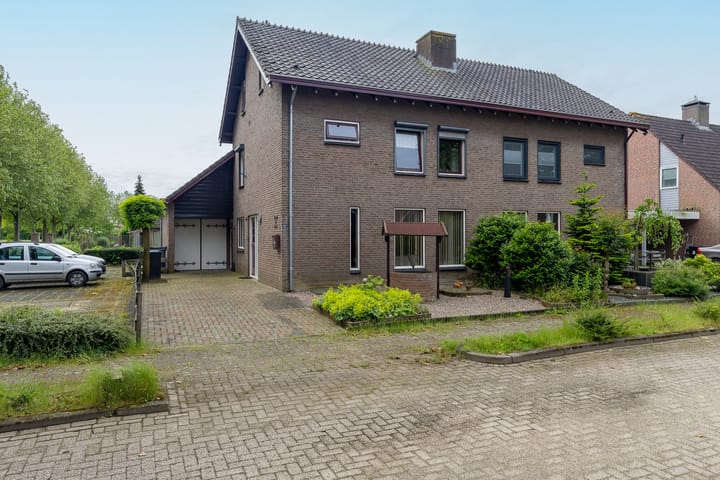 undefined main image