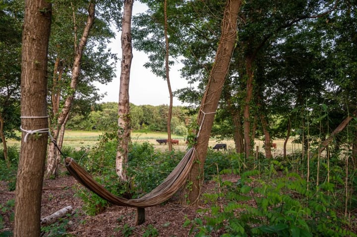 Foto 4 van Vijftig Bunder 3-A