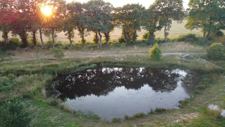 Foto 5 van Vijftig Bunder 3-A