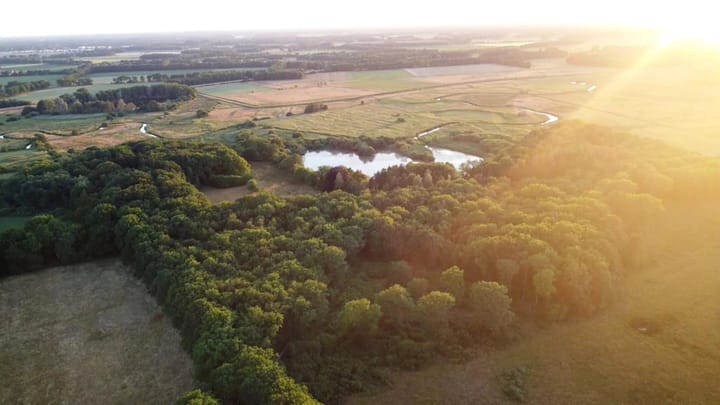 Foto 24 van Vijftig Bunder 3-A